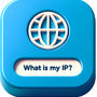 what-is-my-ip.png